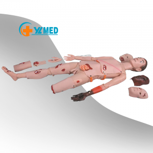 Medical Science Medical Nursing training Medical simulation mannequin First aid trauma mannequin