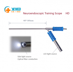 Neuroendoscopy Practice Simulator, Craniofacial Anatomical Model for Medical Instruction & Surgical Drills