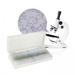 50-teiliges Set mit vorbereiteten Biologie-Mikrobiologie-Folien für Lehrmittel und Bildungsausrüstung