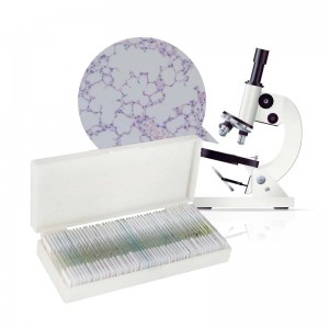 50pcs Biology Microbiology Prepared Slides set for Teaching Resources and Education Equipment