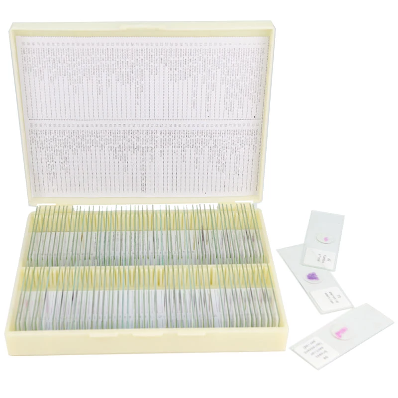 50pcs Biology Microbiology Prepared Slides set for Teaching Resources and Education Equipment