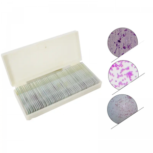 50pcs Biology Microbiology Prepared Slides set for Teaching Resources and Education Equipment