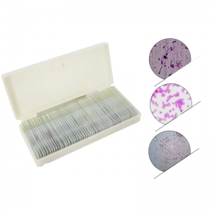 50pcs Biology Microbiology Preparate Slides set for Teaching Resources and Education Equipment