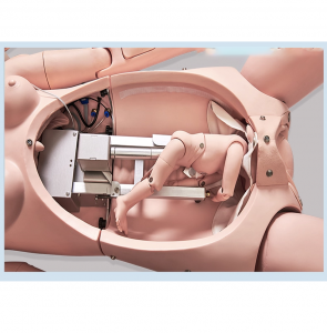 Maternal Infant First Aid Emergency Nursing Pregnant Women Intrapartum Delivery Process Gynecological Training Simulator Model