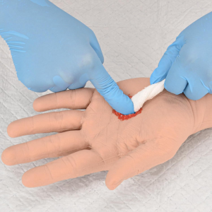 Through Hand Stop the Bleed Training Kit Wound Packing Hand Trainer Trauma Hand Kit for Stop the Bleed Control Training