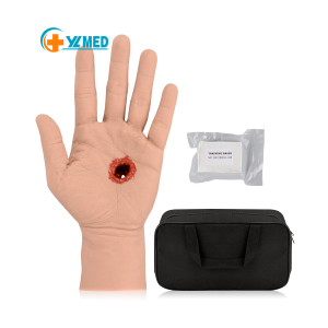 Through Hand Stop the Bleed Training Kit Wound Packing Hand Trainer Trauma Hand Kit for Stop the Bleed Control Training