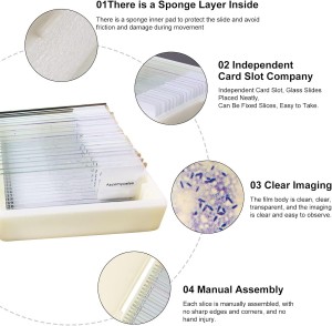 Biology teaching human histology for instructional and educational use in the preparation of microscope slides
