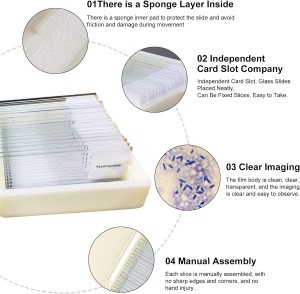 Factory medical teaching biology tissue section histology preparation specimen microscope slide