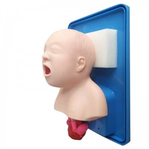 Airway management trainer tool for infant model with tube