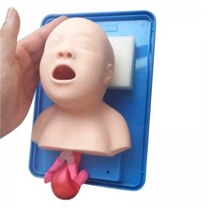 أداة تدريب إدارة مجرى الهواء لنموذج الرضع مع أنبوب