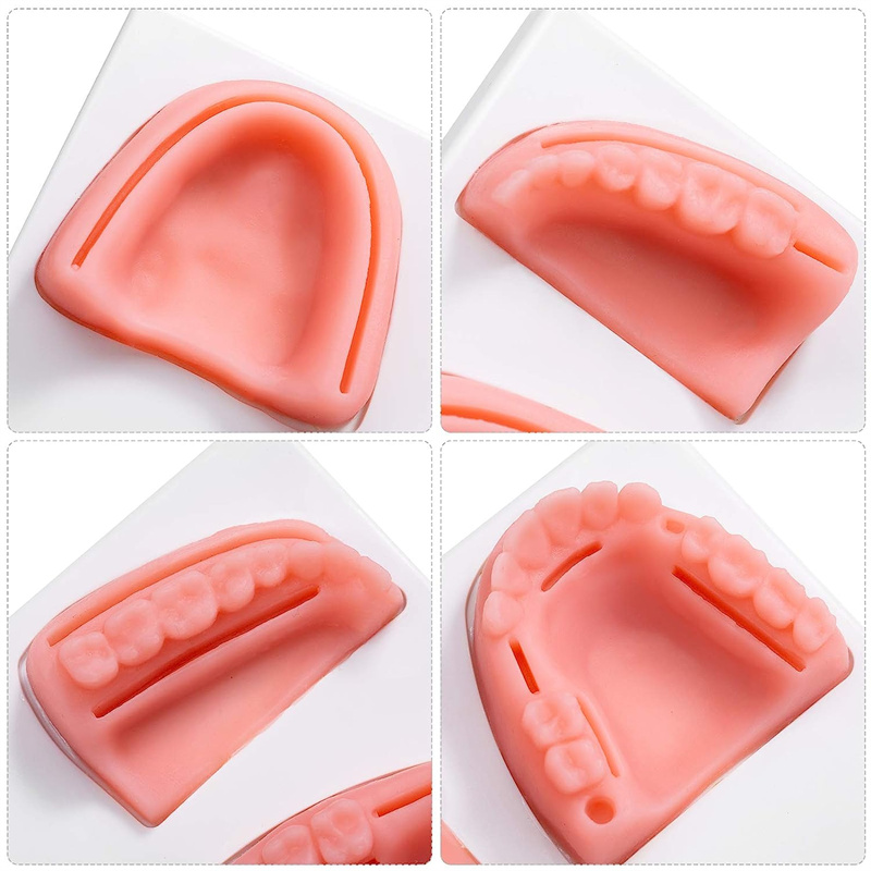 Bionic oral medicine gingival multifunctional suture pad (2)