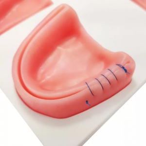 Almohadilla de sutura multifuncional gingival de medicina oral biónica