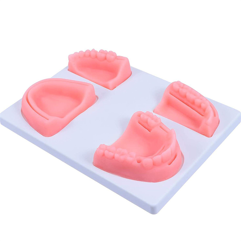 Bionic oral medicine gingival multifunctional suture pad (3)