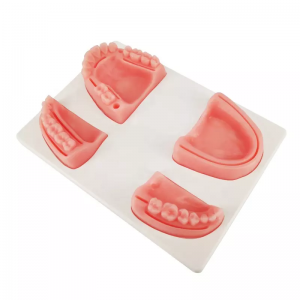 Bionic roba oogun gingival multifunctional suture pad