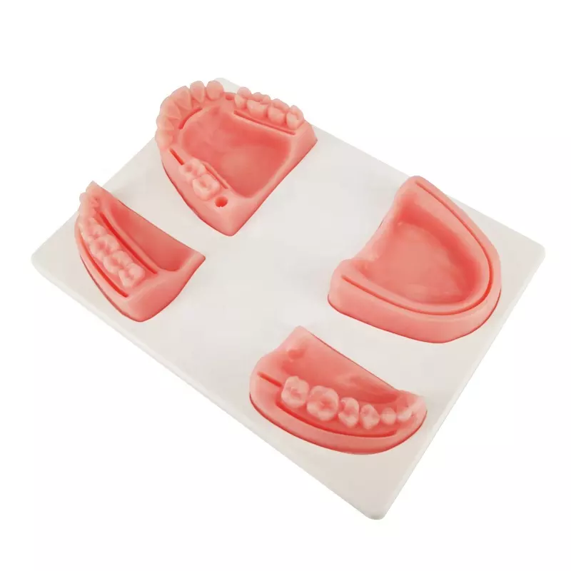 Bionic oral mushonga gingival multifunctional suture pad