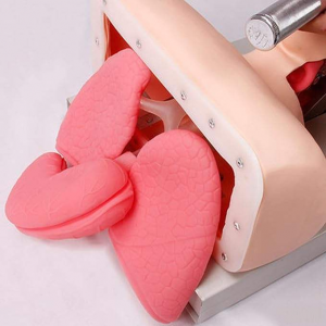 Adult Electronic Tracheal Intubation Teaching Model Human First Aid Advanced Human Endotracheal Intubation Training Model