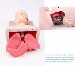 Adult Electronic Tracheal Intubation Teaching Model Human First Aid Advanced Human Endotracheal Intubation Training Model