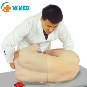 Adult lumbar puncture model in lateral position for teaching training and medical research of lumbar puncture surgery