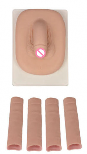 Medical Teaching Surgical Male Reproductive System Circumcision Circumcision Mode Teaching Resources