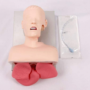 Adult Electronic Tracheal Intubation Teaching Model Human First Aid Advanced Human Endotracheal Intubation Training Model