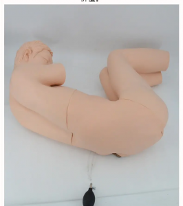 Adult lumbar puncture model in lateral position for teaching training and medical research of lumbar puncture surgery