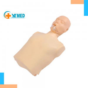 CPR Cardiopulmonary Resuscitation Simulator Bust Medical Mannequin First Aid Training Artificial Breathing Rubber