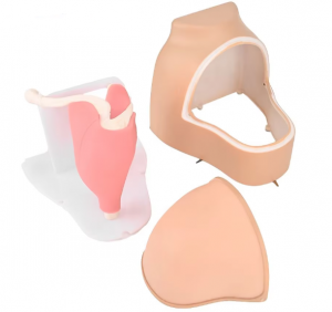 Medical Science Human Arthroscopic Trainer Simulator Shoulder Joint Model PVC Material Medical Teaching Use