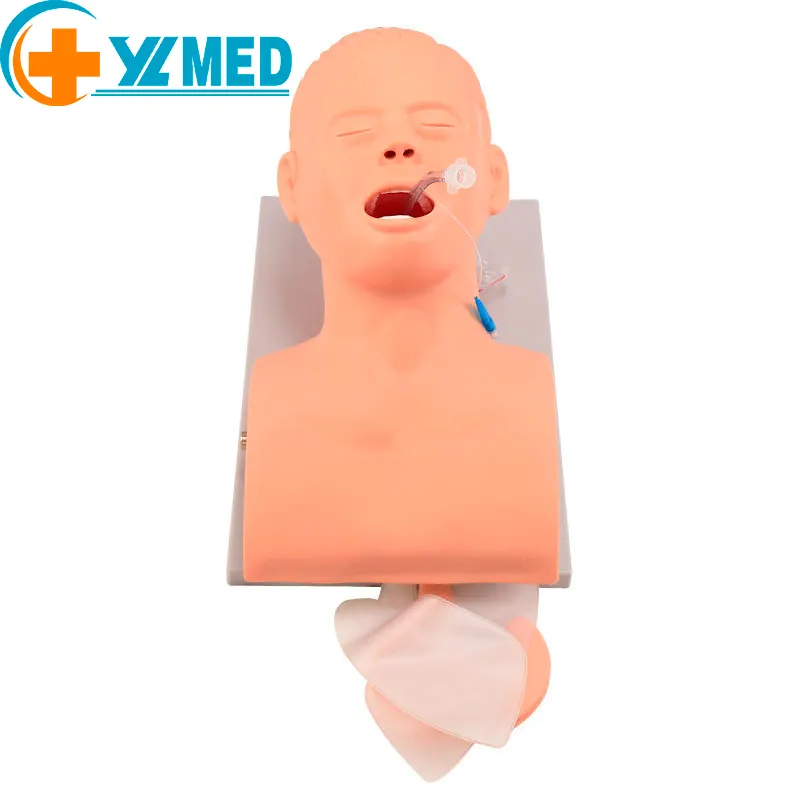 Mediese wetenskap Elektroniese menslike trageale intubasie-opleidingsmodel