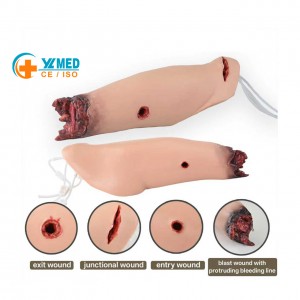 Medical Nursing School Multitask Wound Packing Trainer First Aid Training Stop Bleeding Simulator Model Gunshot Wound Laceration