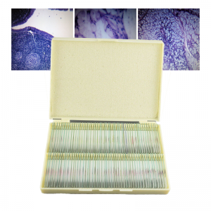Medical science human pathology microscope prepared slides for teaching and learning