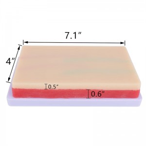 Simulated human skin venipuncture silicone pad