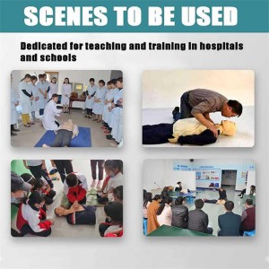 OEM/ODM Supplier Trauma and Emergency Medicine Training Medical Modules Teaching Manikin Latest Price