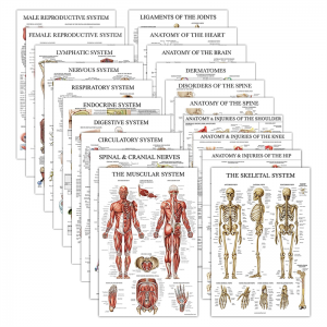 Komplet stenskih tabel za poučevanje anatomske medicine