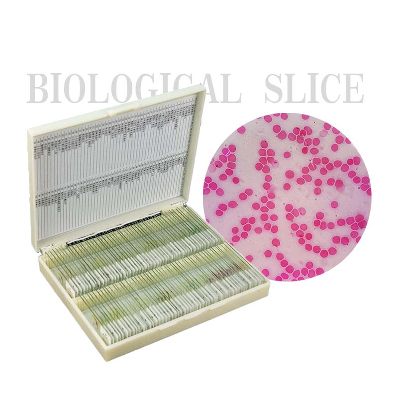 Opraveno 100 položek různých připravených mikroskopických histologických diapozitivů