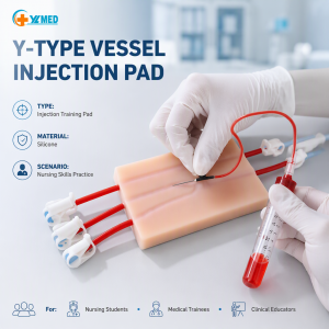 IV Injection Training Pad Manikin Silicone Gel Blood Collection Venipuncture Practice Simulator for Nursing Student Hospital
