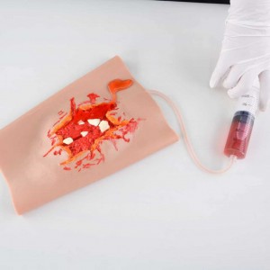 First Aid Tools Emergency Practice Trauma Model Medical Science Wearable Blast Wound Sleeve Rupture Wound Model