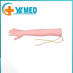 Medical science arm venipuncture injection training simulation medical education model
