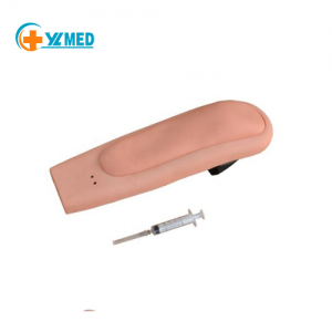 Medical science experimental electronic upper arm muscle vascular injection training model teaching resource equipment