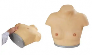 Simulator Female Inspection At Palpation Breast Self Examination Model para sa babae Pagsusuri sa kalusugan ng dibdib