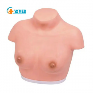 Symulator kobiecej kontroli i palpacji Model samobadania piersi dla kobiet Badania przesiewowe zdrowia piersi