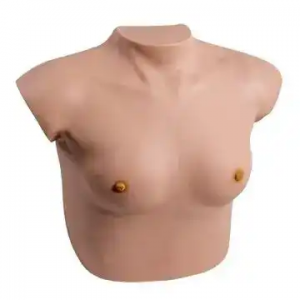 Moterų apžiūros ir palpacijos krūtų savityros modeliavimo modelis moterims Krūties sveikatos patikra