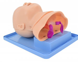 Trainingsmodel voor tracheale intubatie bij baby's