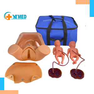 Maternity Obstetrics Integrated Teaching Model Medical Education Antenatal Care Midwifery Skills Training Simulation PVC Normal