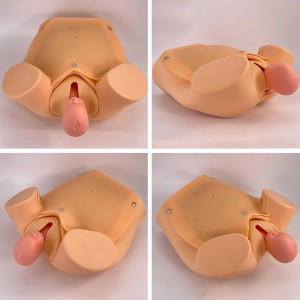 Maternity Obstetrics Integrated Teaching Model Medical Education Antenatal Care Midwifery Skills Training Simulation PVC Normal