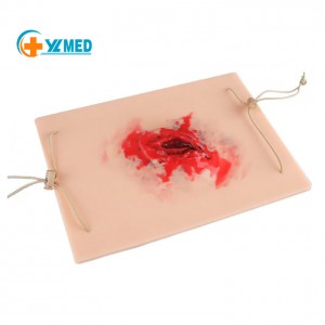 Medical School Training Tool Trauma Model Wearable Trauma Wound Simulation Skin Module Surgery Simulation Trauma Wound Bleeding