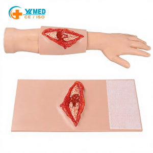 Wound Packing Fracture Bleed Control Trainer | Wearable Anatomy Model Repeated Stabilizing Covering Bandaging