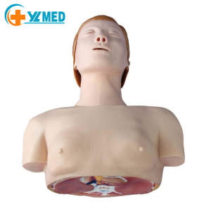 Half body CPR training Advanced Cardiopulmonary Resuscitation Simulator for Human Medical CPR Teaching Model