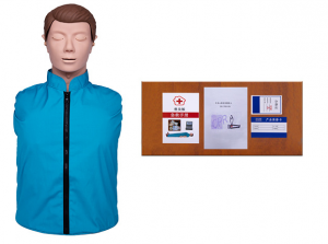 YL-CPR100C CPR half nurse model for nurse practice and training