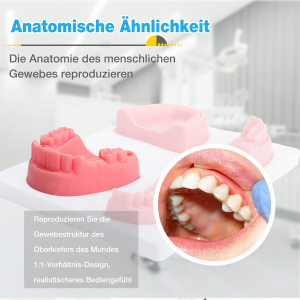 Suture Kit Manikin Complete Basic Suture Kit Dental Suturing Skill Trainer Oral Incision Suture Pad