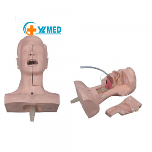 Advanced tracheal intubation and airway opening exercise nursing model for medical student training